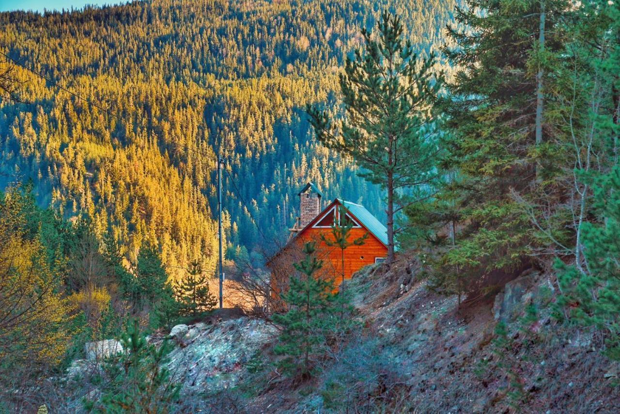 Cozy Cottage Feel Free Continental Didi Ateni Kültér fotó
