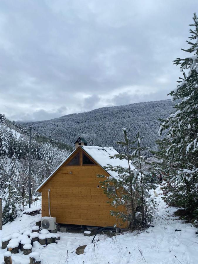 Cozy Cottage Feel Free Continental Didi Ateni Kültér fotó
